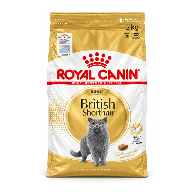 Royal canin yetişkin British shorthair 2 kg