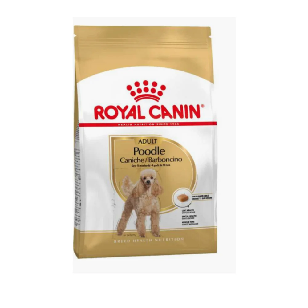 Royal Canin Poodle Irkı Yetişkin Köpek Maması