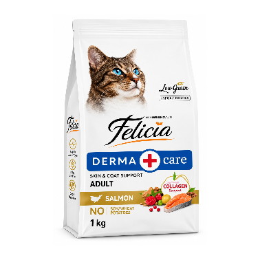 Felicia somonlu yetişkin (Açık mama) 1 kg
